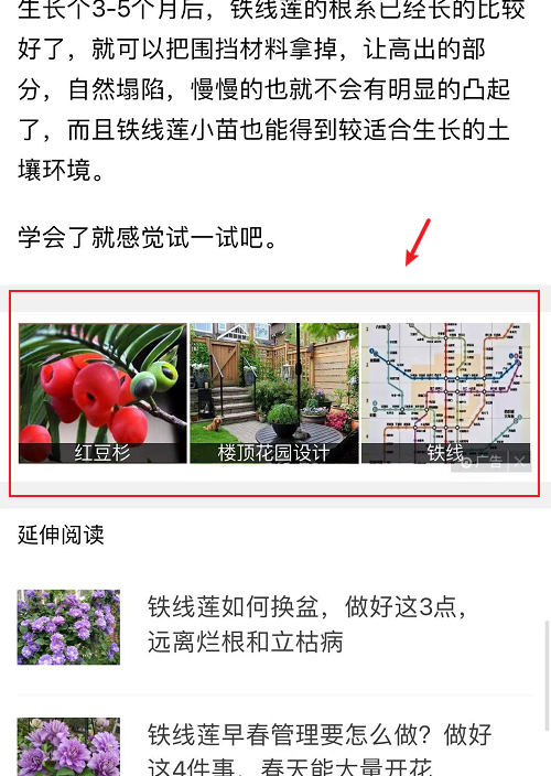 学会看广告容易发现更多商机，不仅能发现商机还能提升认知插图